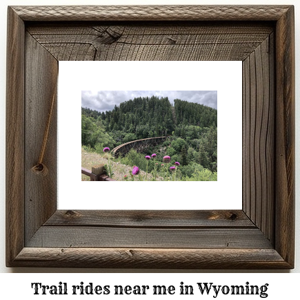trail rides near me in Wyoming